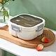 bento boxes for kids